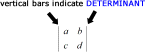 vertical bars (also known as "pipes") indicate a determinant of a matrix, for example, | a,b ; c,d |