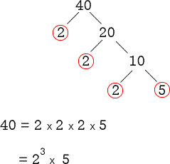 to find the prime factorization of the number 40 using the factor tree method, we divide 40 by 2 which gives us the factors 2 and 20. however, since 20 is also divisible by 2, we divide it again by 2 and get 2 and 10 as our new factors. but since 10 can still be divided by 2, we'll proceed further with one more division step getting 2 and 5 as factors. since 5 which is our last quotient is a prime number, we stop here. in summary, 40 = 2×2×2×5 = (2^3)×5.