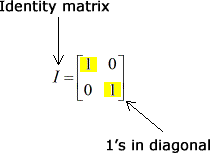 A 2x2 identity matrix with ones in the diagonal. The identity matrix is usually represented by the uppercase letter "I". It has the elements 1 and 0 on the first row, and elements 0 and 1 on the second row.