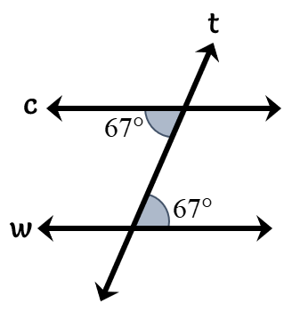 line c and line w are parallel lines that are cut by the transversal line t. the alternate interior angles have equal measure which in case is 67 degrees