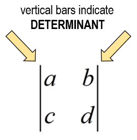 vertical bars (also known as "pipes") indicate a determinant of a matrix, for example, | a,b ; c,d |
