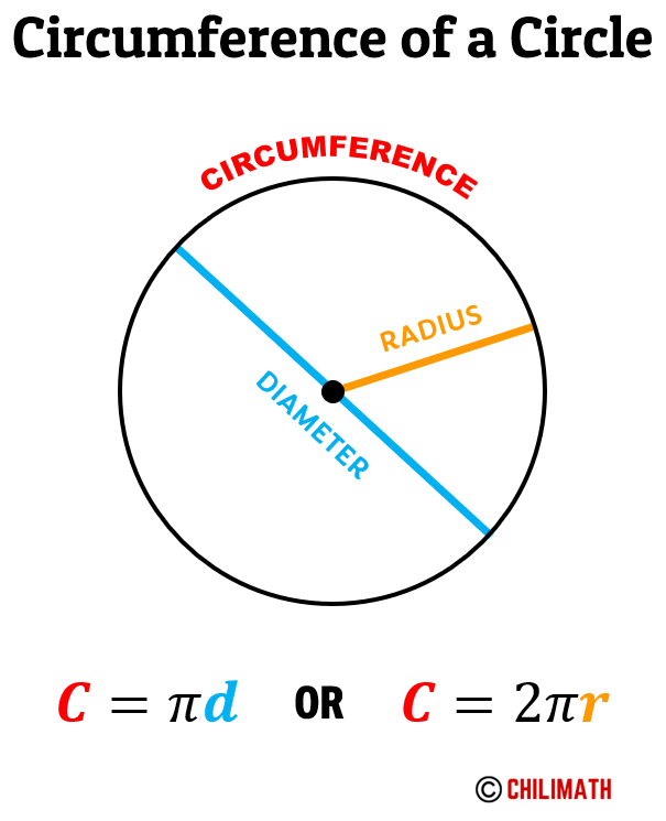 a circle showing its circumference, its radius, and its diameter. the diameter is the line segment from one point of the circle to another passing through the center. the radius is a line segment from the center to any point on the circle.