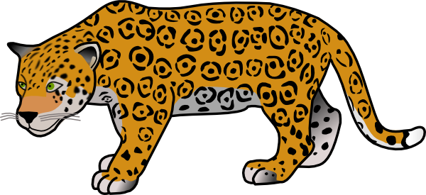 cheetah on a hunt